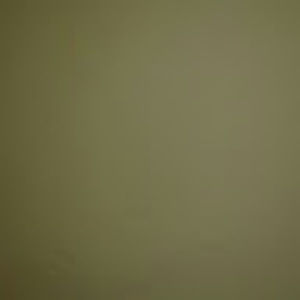 Meet your Posher, Brent